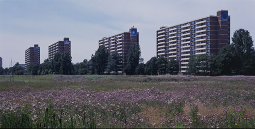 Nederland fotografie