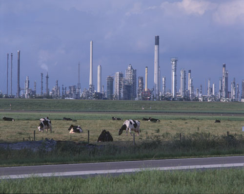 Nederland fotografie