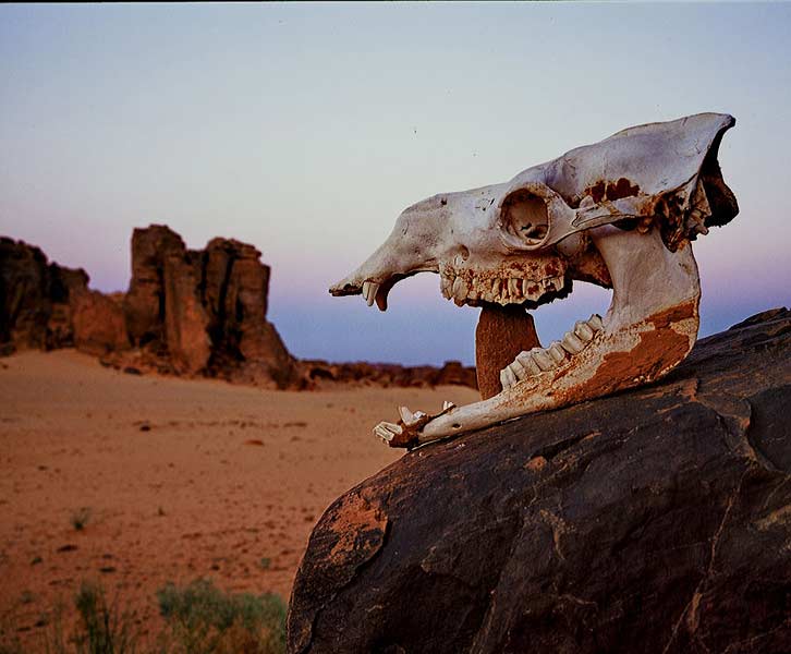 SAHARA fotografie
